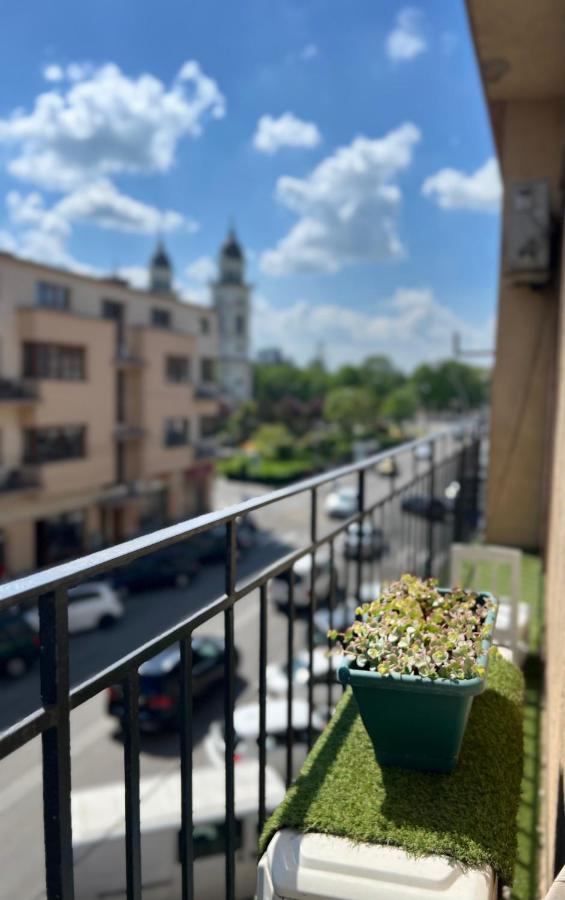 Bulevard Apartments ساتو ماري المظهر الخارجي الصورة